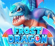 Frost Dragon